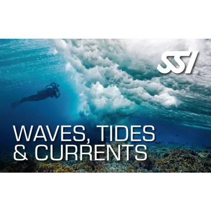 Waves Tides and Currents