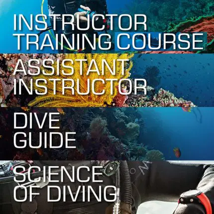 Career Bundle